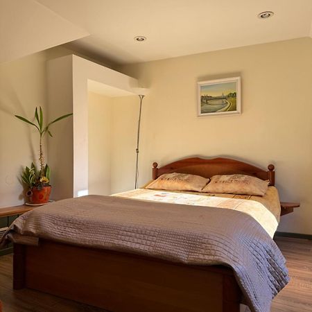 Danarent Tilto Apartment Vilnius Bagian luar foto